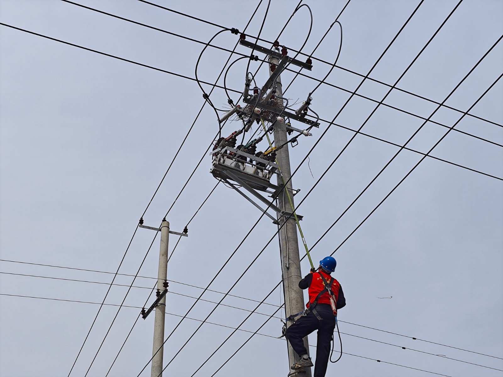 1711417392314076734.jpg 清除鳥窩專項行動1.jpg